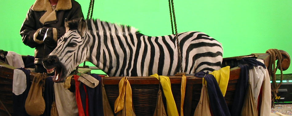 zebra in vogels ad